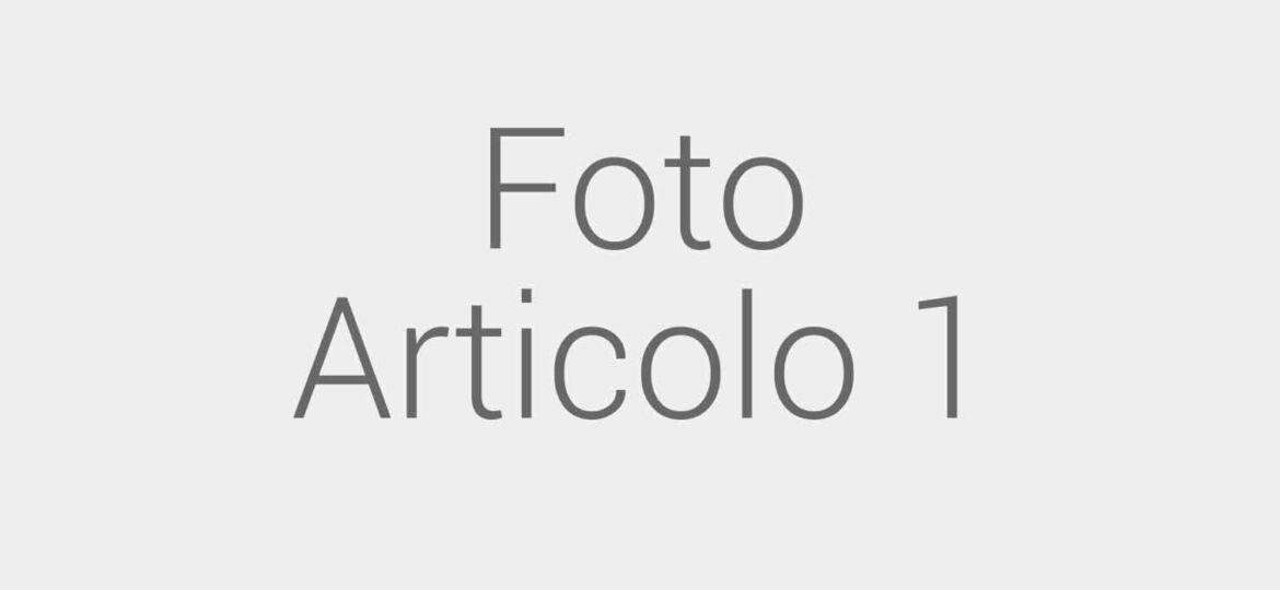 articolo1_4