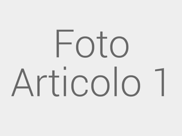 articolo1_4